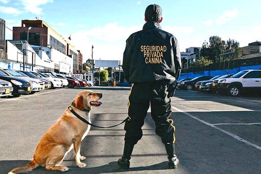 Operador Canino Reentrenamiento